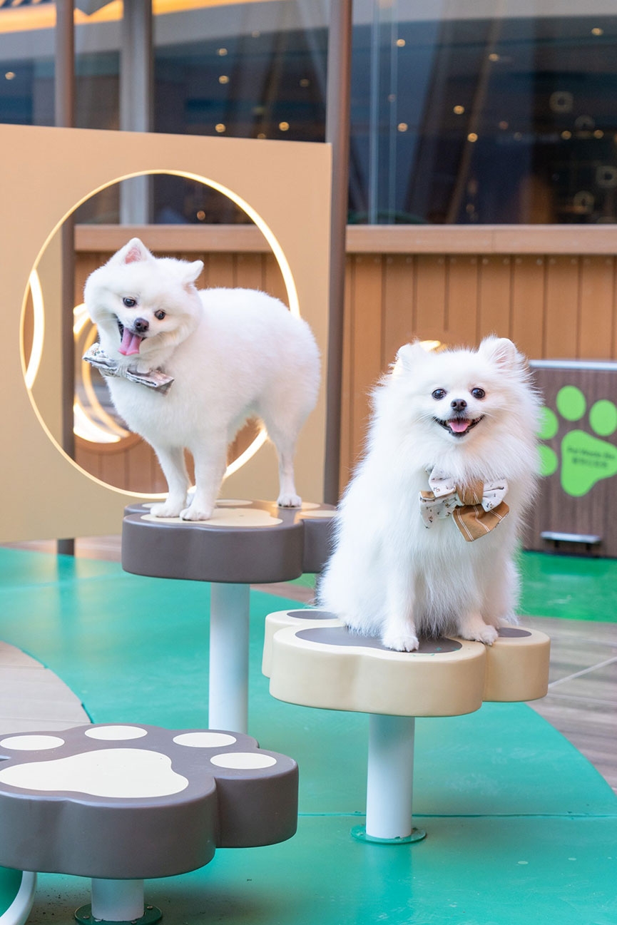 新界區寵物友善商場2025-新城市廣場New Town Plaza